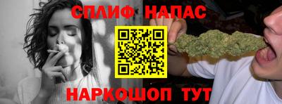 шишки Апшеронск