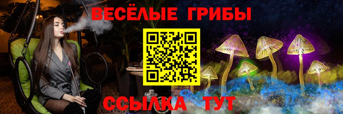 Галлюциногенные грибы Psilocybe  продажа наркотиков  Великий Новгород  Галлюциногенные грибы Psilocybine cubensis  Вход с VPN 