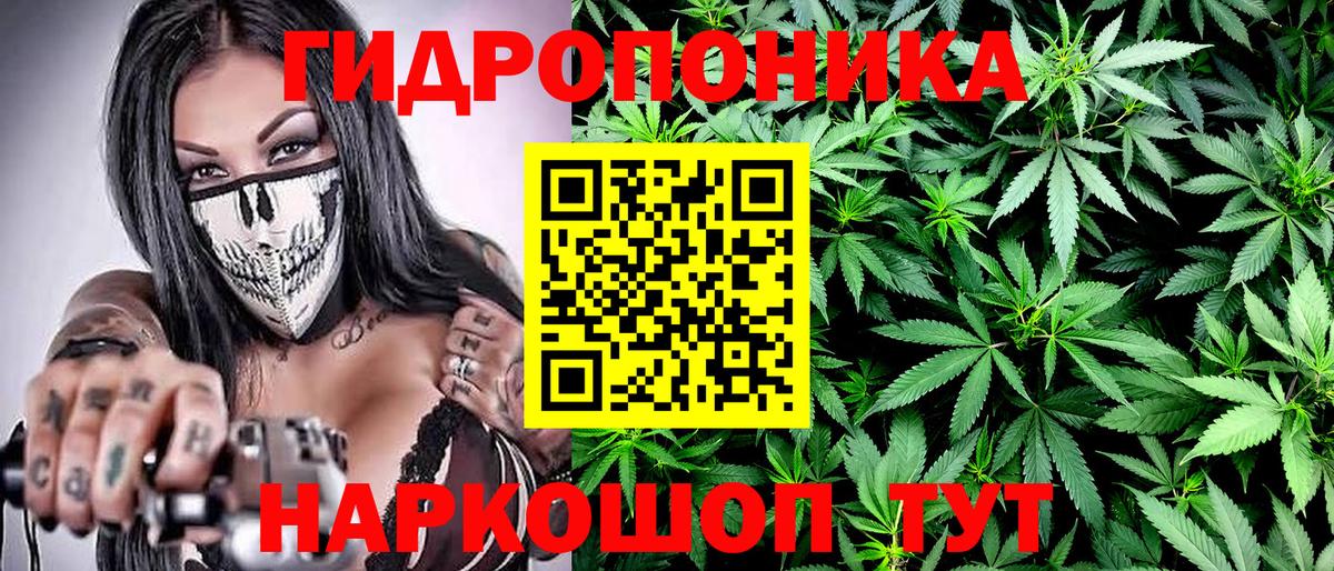 Каннабис SATIVA & INDICA  Канабис SATIVA & INDICA  Великий Новгород  Каннабис индика  Марихуана тримм  Вход с VPN 